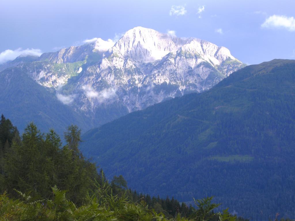 Gasthof Zum Loewen Sankt Jakob im Lesachtal ภายนอก รูปภาพ