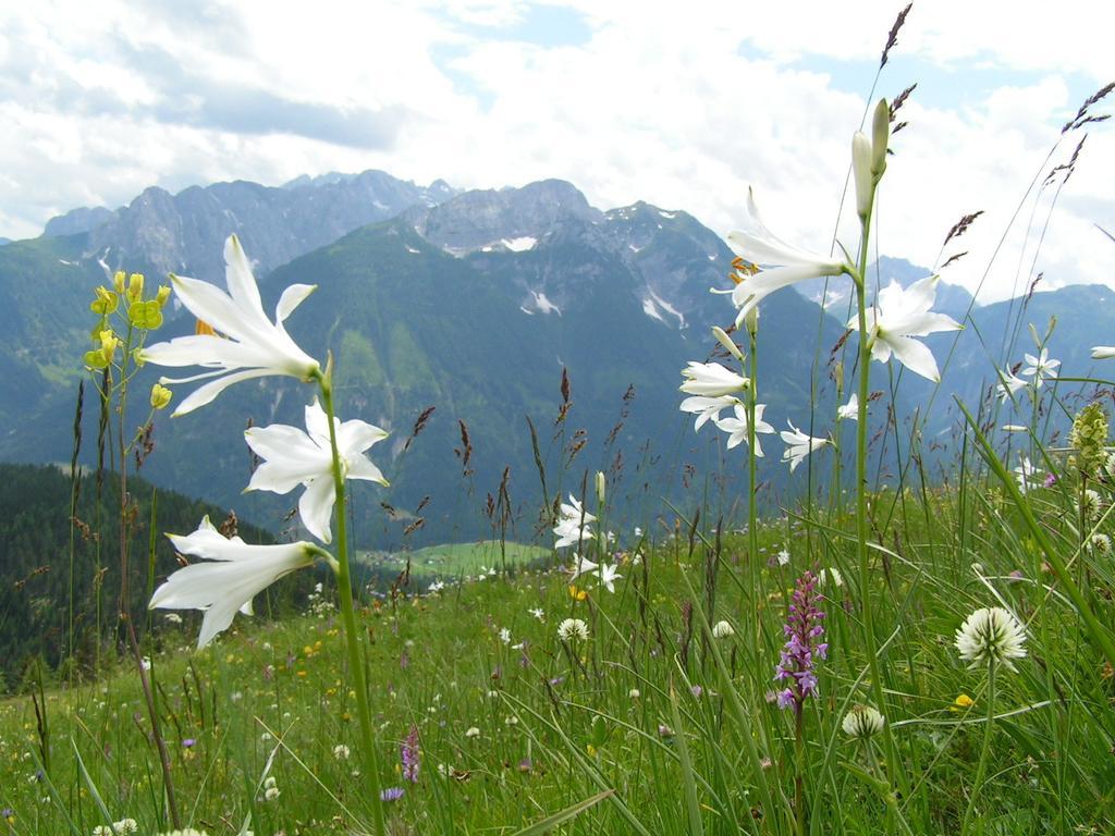Gasthof Zum Loewen Sankt Jakob im Lesachtal ภายนอก รูปภาพ