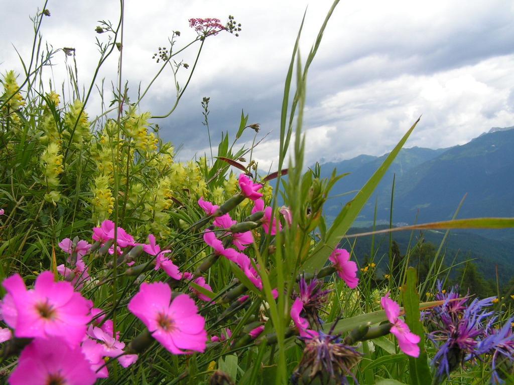 Gasthof Zum Loewen Sankt Jakob im Lesachtal ภายนอก รูปภาพ