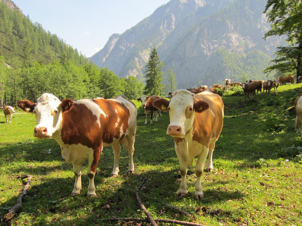 Gasthof Zum Loewen Sankt Jakob im Lesachtal ภายนอก รูปภาพ