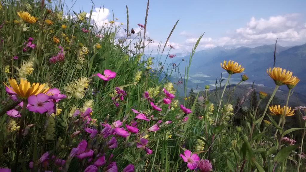 Gasthof Zum Loewen Sankt Jakob im Lesachtal ภายนอก รูปภาพ